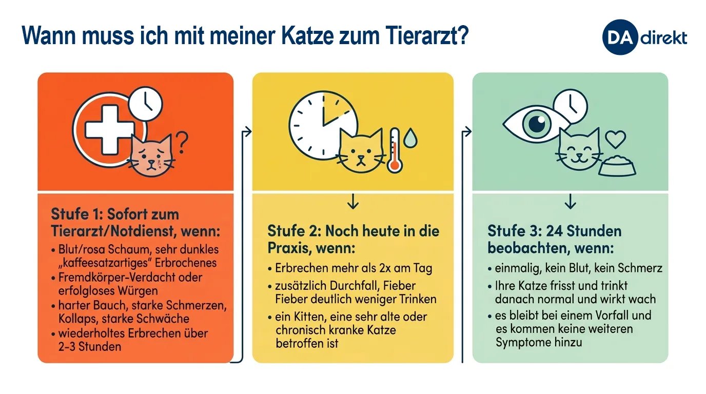 Grafik mit Beispielen für Abschätzung der Dringlichkeit eines Tierarztbesuches.