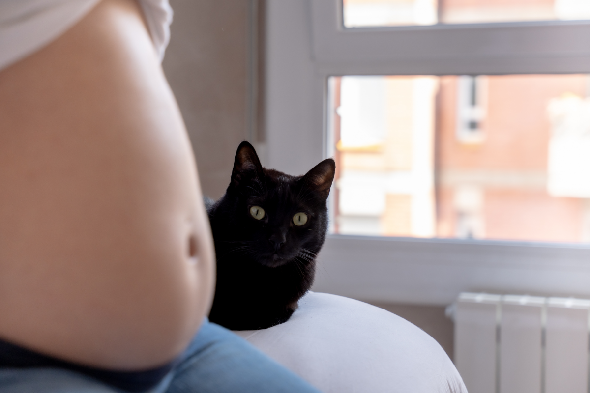 Ob sich eine Frau mit Toxoplasmose in der Schwangerschaft infiziert hat, zeigt ein Antikörper-Test.