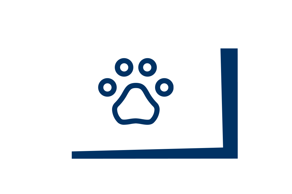 Krankheitsfall - Tierkrankenversicherung - Schaden schnell telefonisch oder online melden