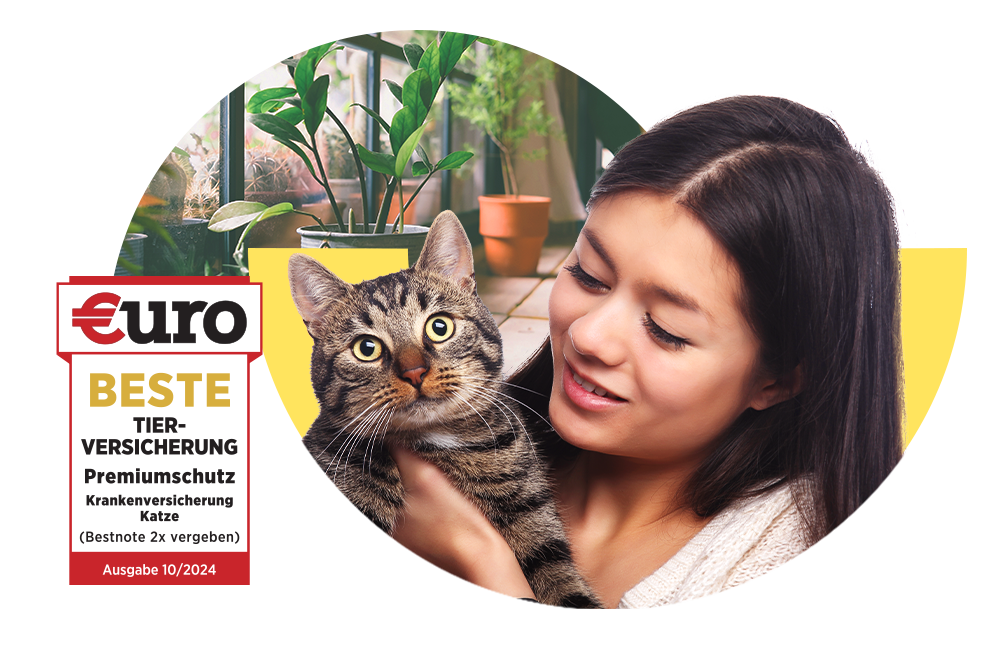 €uro-Magazin Siegel: Beste Tierversicherung für den Premiumschutz der DA Direkt Katzenkrankenversicherung neben einer lächelnden Frau mit Katze auf dem Arm
