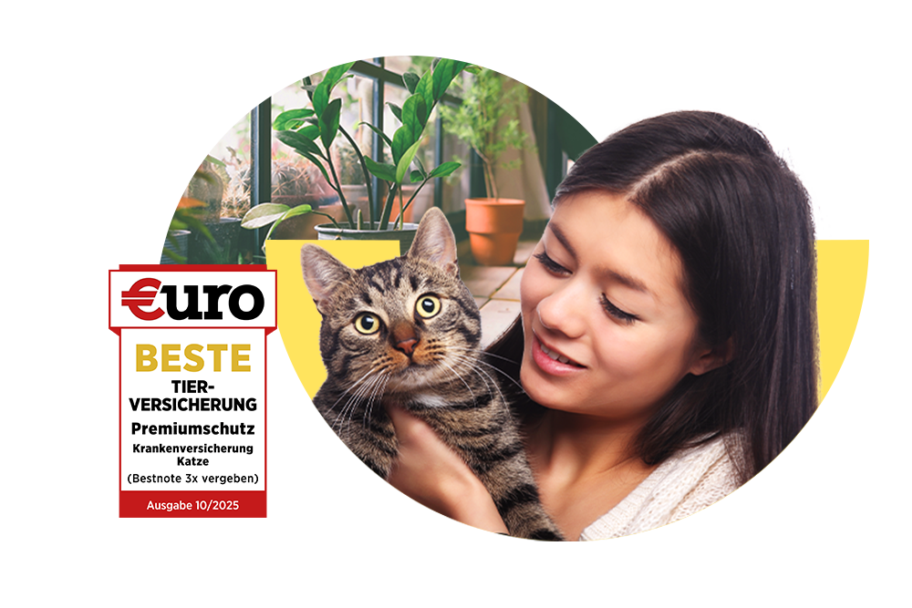 €uro-Magazin Siegel: Beste Tierversicherung für den Premiumschutz der DA Direkt Katzenkrankenversicherung neben einer lächelnden Frau mit Katze auf dem Arm