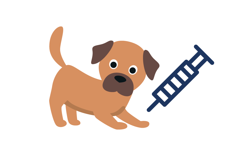 Illustration eines Hundes mit einer Spritze