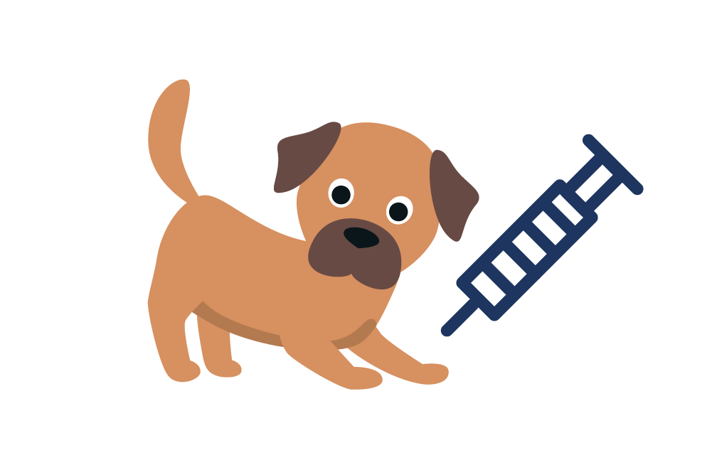 Illustration eines Hundes mit einer Spritze