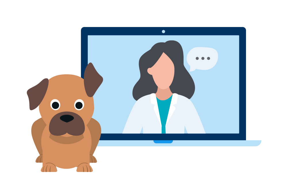 Illustration eines Hundes mit einem Laptop auf dem eine Videosprechstunde mit einer Tierärztin läuft