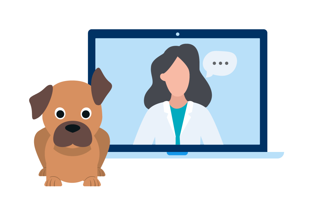 Illustration eines Hundes mit einem Laptop auf dem eine Videosprechstunde mit einer Tierärztin läuft