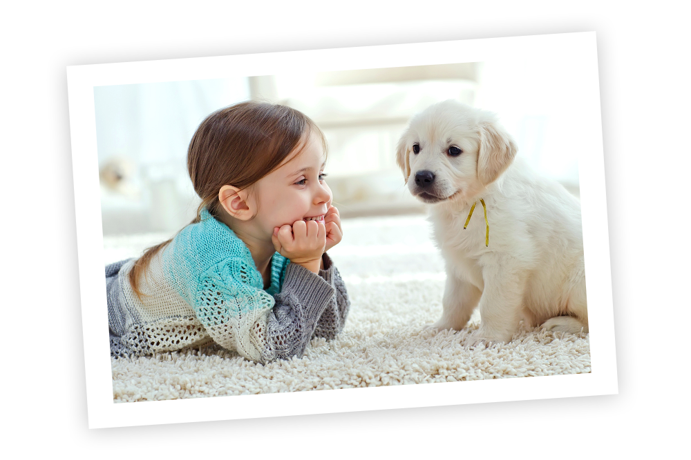 Unsere Versicherung für Welpen.