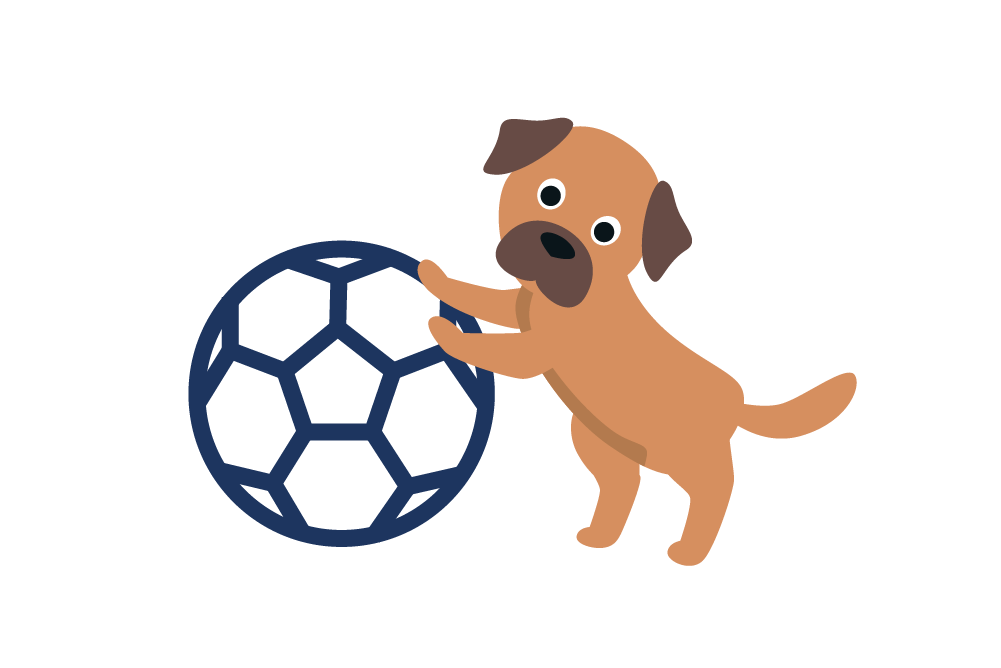 Illustration eines Hundes der mit einem Ball spielt