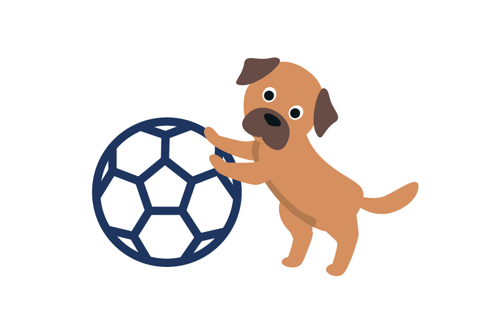 Illustration eines Hundes der mit einem Ball spielt