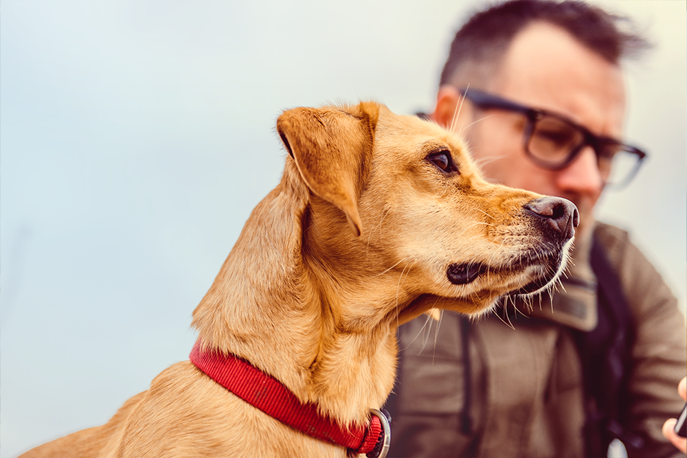 familienvater-mit-hund