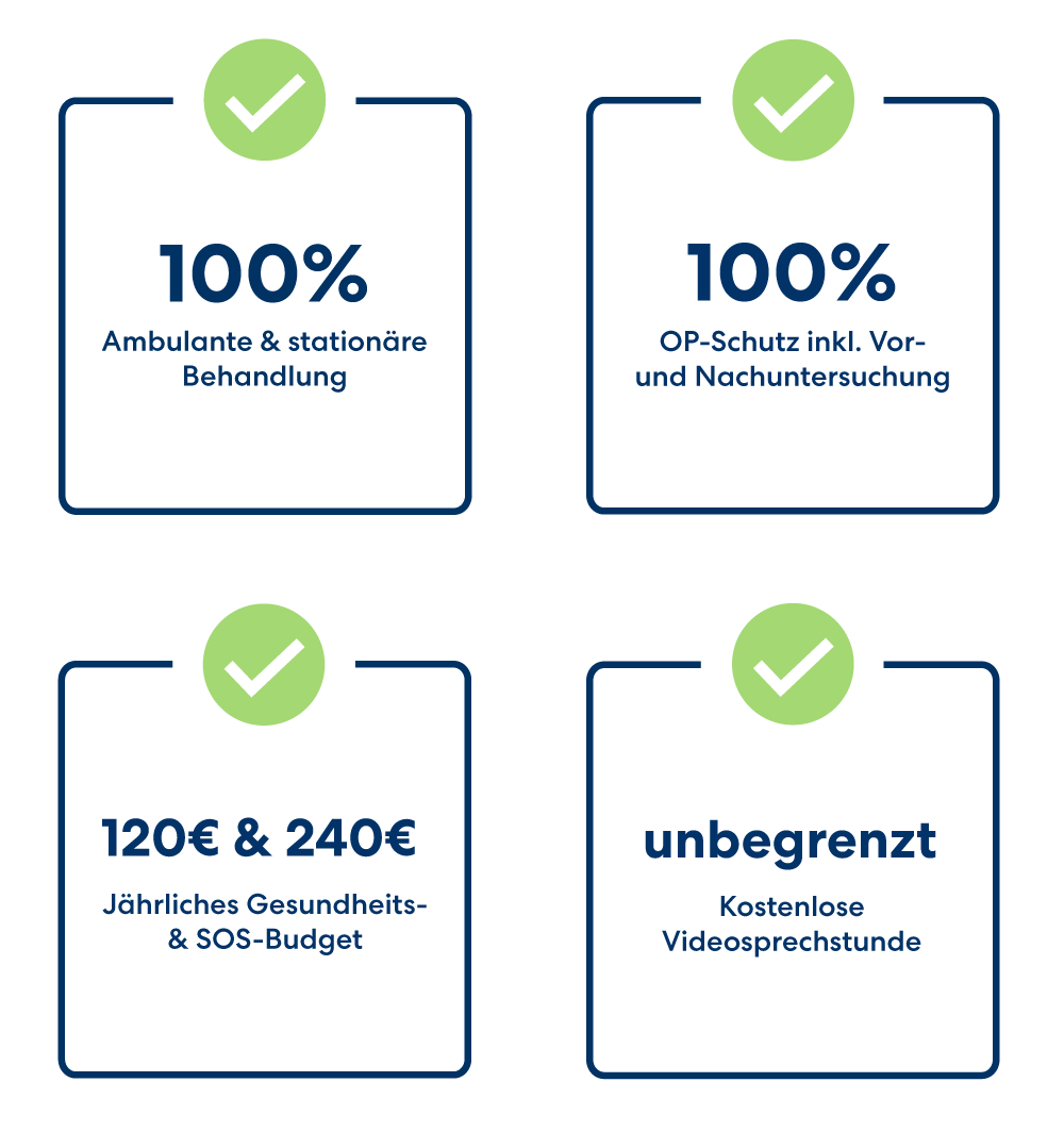 Die Top-Leistungen im Rahmen der Hundekrankenversicherung bei der DA Direkt.