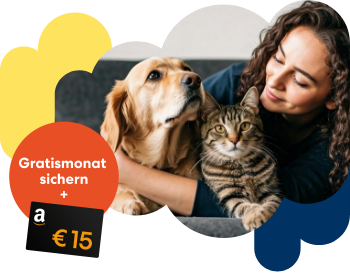 Katzenkrankenversicherung inkl. OP-Schutz