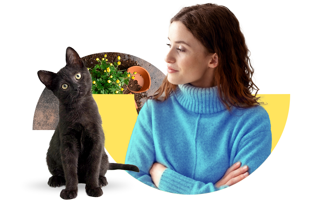 Frau mit blauem Pullover schaut auf ihre unschuldig schauende Katze