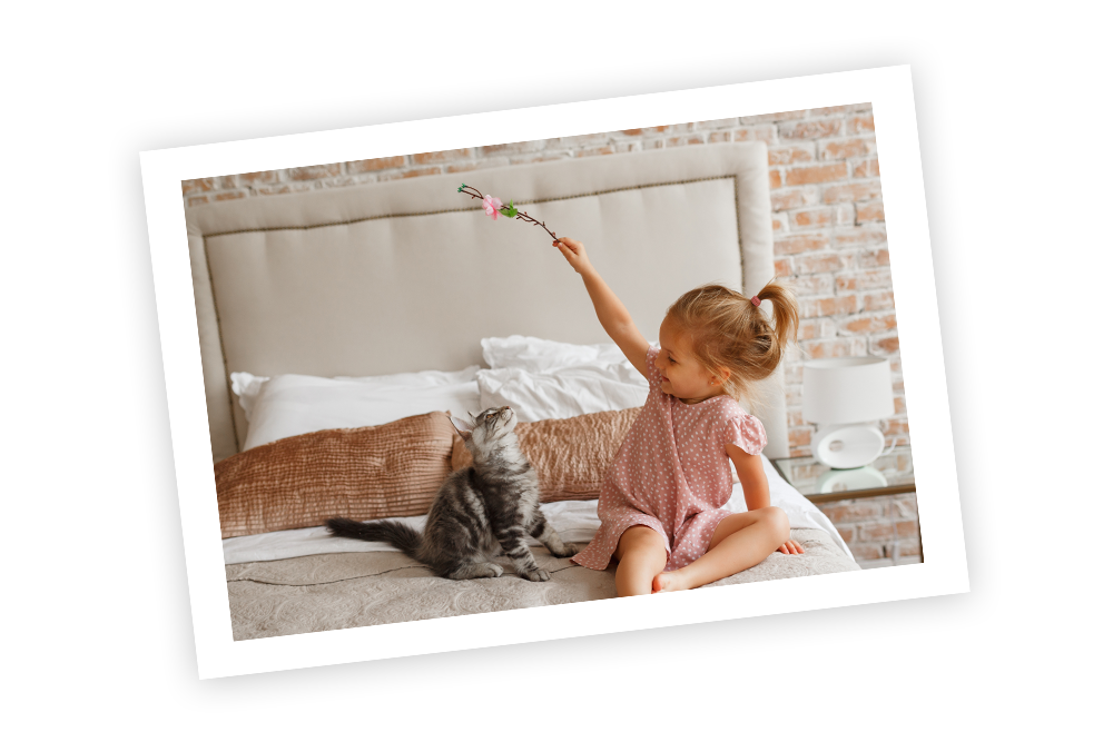 Junges Mädchen spielt mit ihrer Katze auf einem Bett