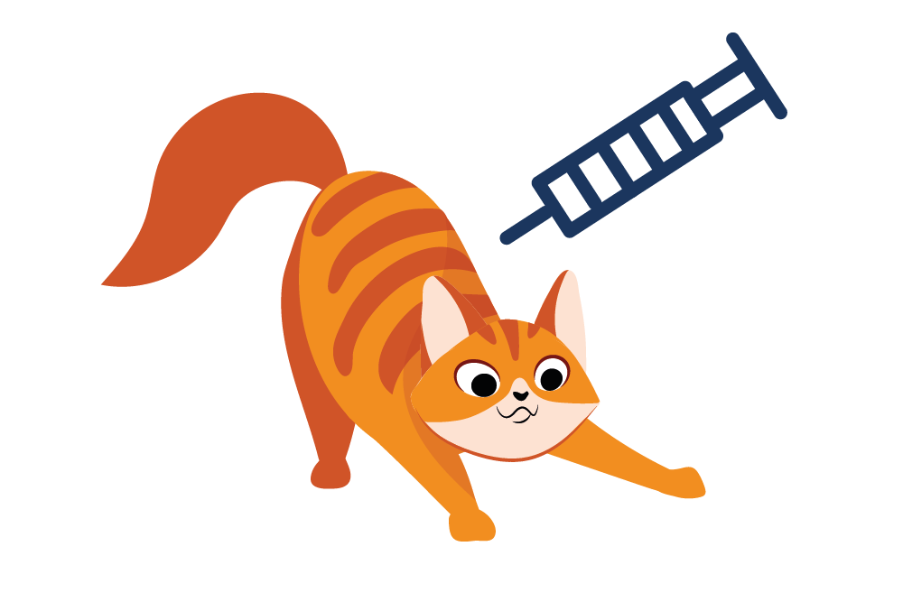 Illustration einer Katze, welche sich vor einer Spritze duckt.