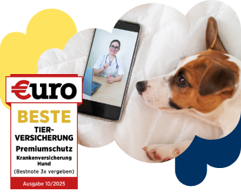 €uro-Magazin Siegel: Beste Tierversicherung für den Premiumschutz der DA Direkt Hundekrankenversicherung neben einem Hund, der auf ein Handy schaut auf dem eine Tierärztin zu sehen ist