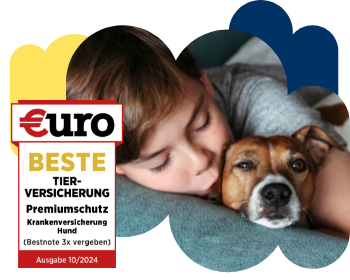 €uro-Magazin Siegel: Beste Tierversicherung für den Premiumschutz der DA Direkt Hundekrankenversicherung neben einem Hund, der auf ein Handy schaut auf dem eine Tierärztin zu sehen ist