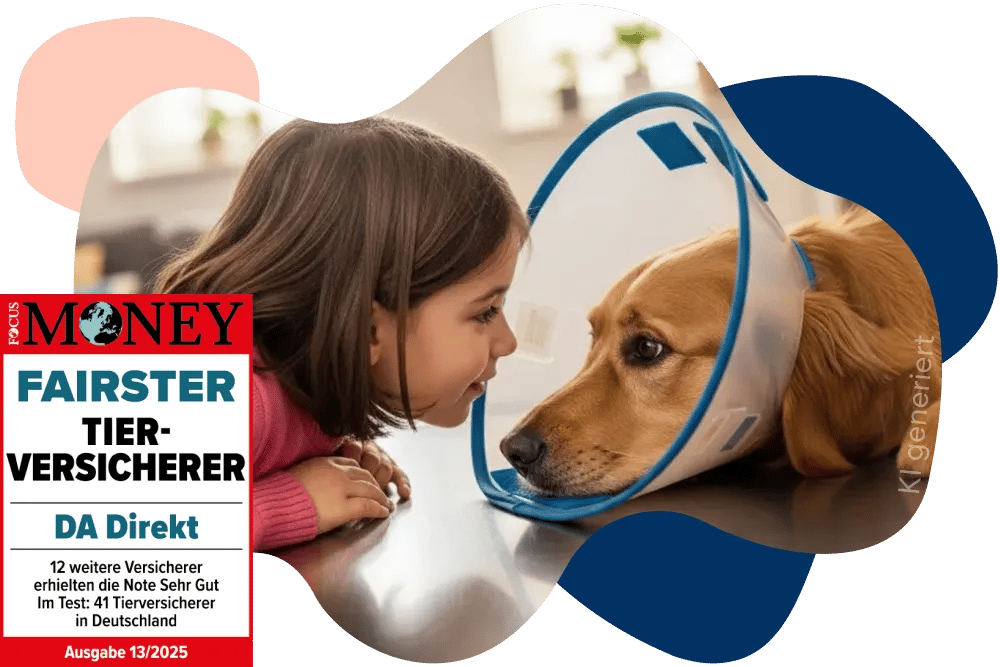 Kind und Hund mit Halskrause nach einer Operation