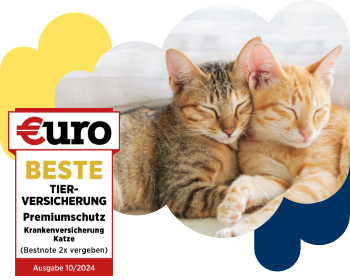 €uro-Magazin Siegel: Beste Tierversicherung für den Premiumschutz der DA Direkt Katzenkrankenversicherung neben zwei Katzen