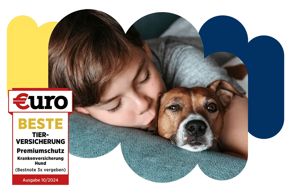 €uro-Magazin Siegel: Beste Tierversicherung für den Premiumschutz der DA Direkt Hundekrankenversicherung neben einem kleinen Jungen, der seinen Hund auf die Wange küsst
