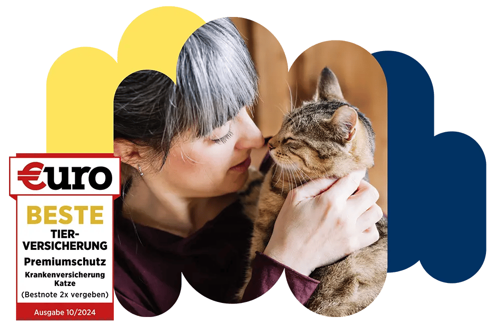 €uro-Magazin Siegel: Beste Tierversicherung für den Premiumschutz der DA Direkt Katzenkrankenversicherung neben einer Frau, die ihre Katze herzt
