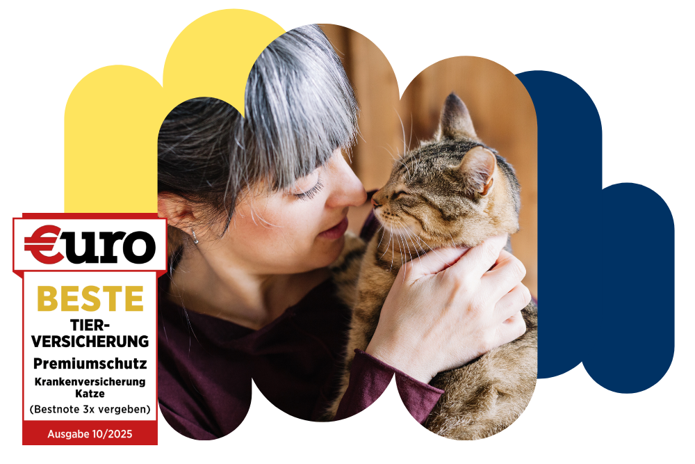 €uro-Magazin Siegel: Beste Tierversicherung für den Premiumschutz der DA Direkt Katzenkrankenversicherung neben einer Frau, die ihre Katze herzt