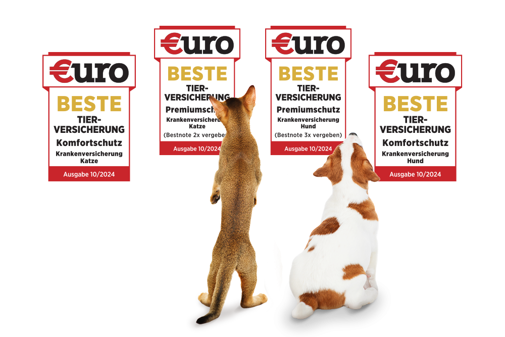 Hund und Katze schauen sich die vier Testsiegersiegel von €uro-Magazin an für die Tarife Premium und Komfort für Hund und Katze