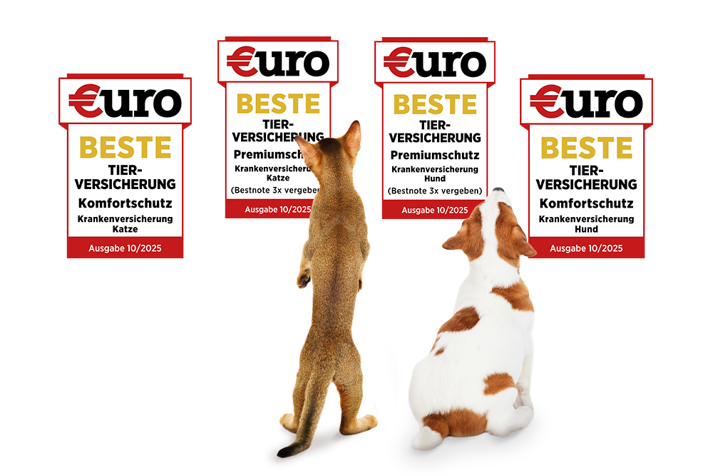 Hund und Katze schauen sich die vier Testsiegersiegel von €uro-Magazin an für die Tarife Premium und Komfort für Hund und Katze