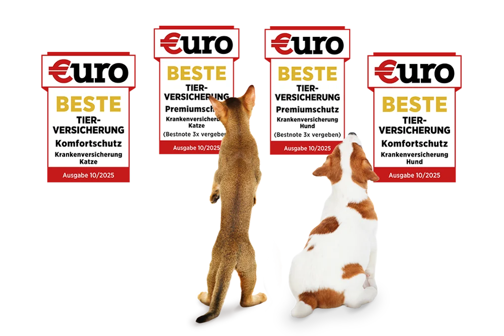 Hund und Katze schauen sich die vier Testsiegersiegel von €uro-Magazin an für die Tarife Premium und Komfort für Hund und Katze