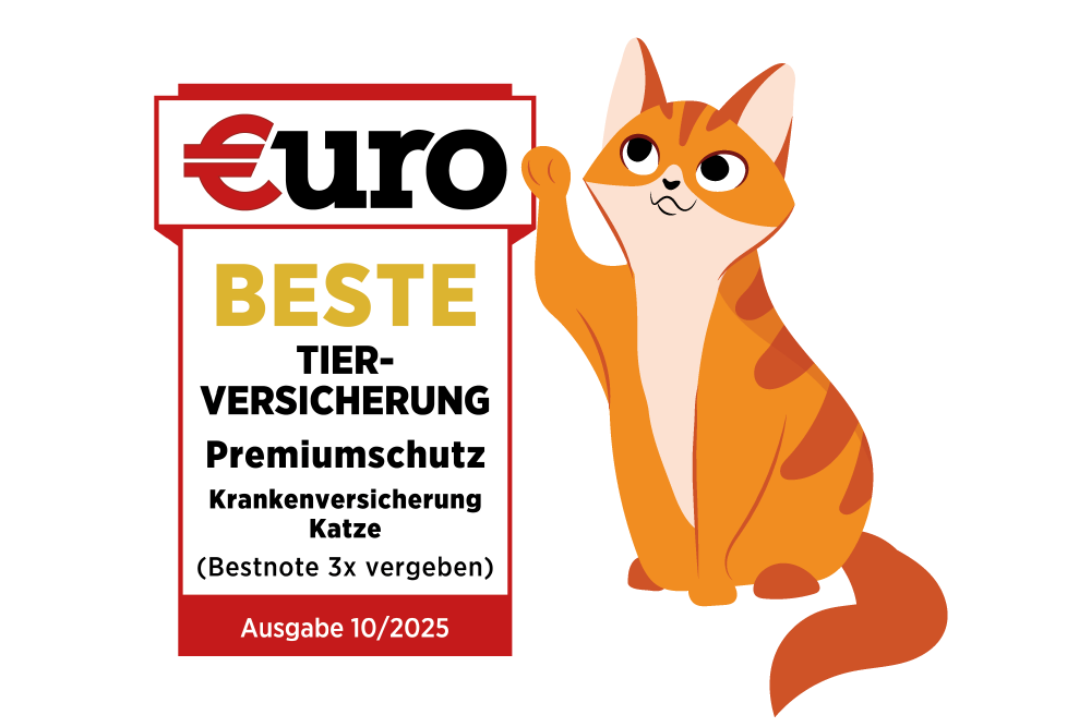DA Direkt: €uro - Beste Tierversicherung für Ihre Katze