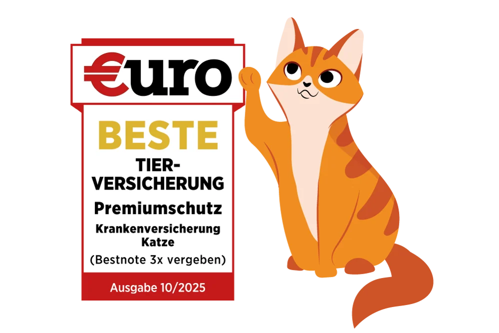DA Direkt: €uro - Beste Tierversicherung für Ihre Katze