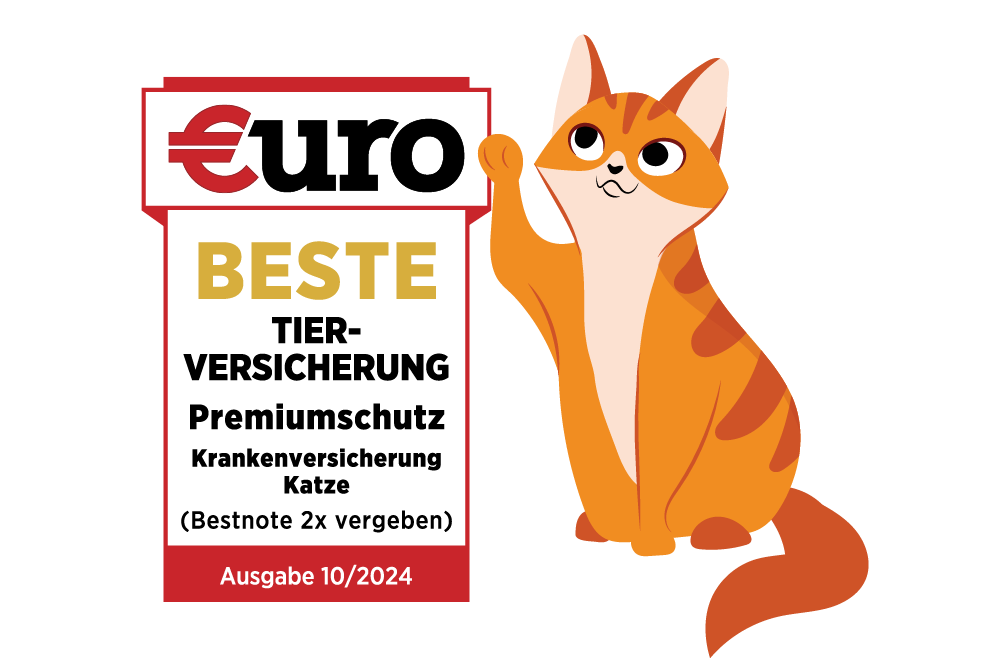 DA Direkt: €uro - Beste Tierversicherung für Ihre Katze