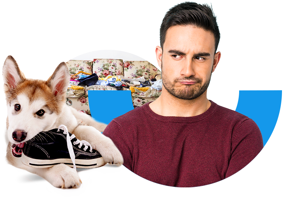 Verärgert schauender junger Mann neben einem Hundewelpen, der einen Schuh zerkaut
