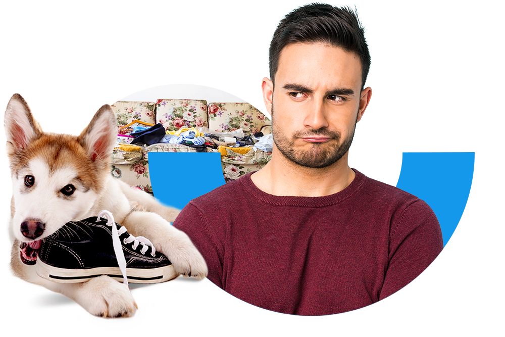 Verärgert schauender junger Mann neben einem Hundewelpen, der einen Schuh zerkaut
