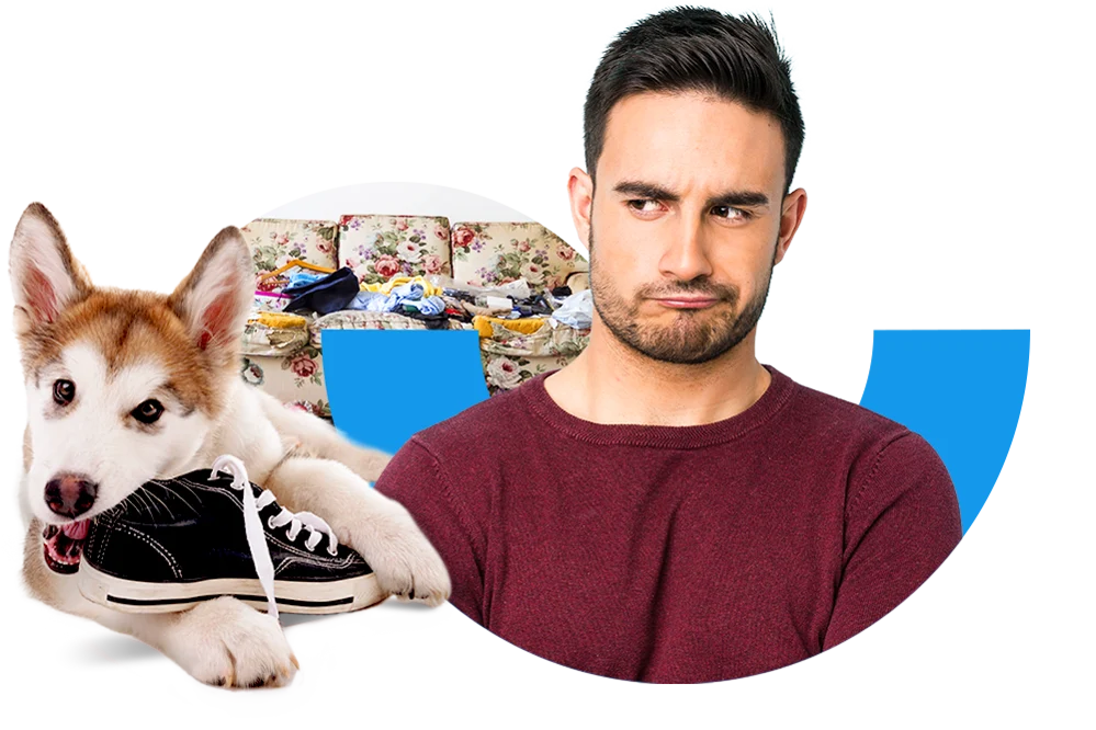 Verärgert schauender junger Mann neben einem Hundewelpen, der einen Schuh zerkaut