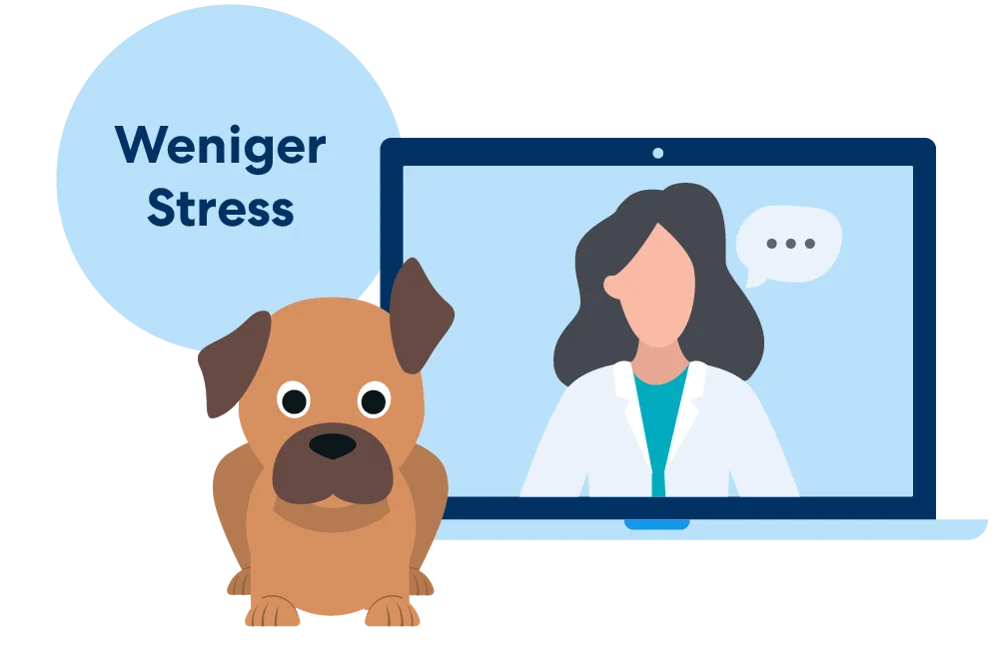 Weniger Stress beim Tierarzt