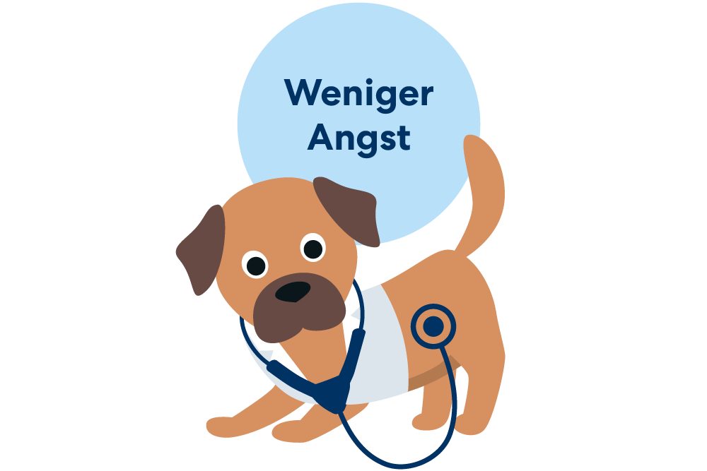 Weniger Angst beim Tierarzt
