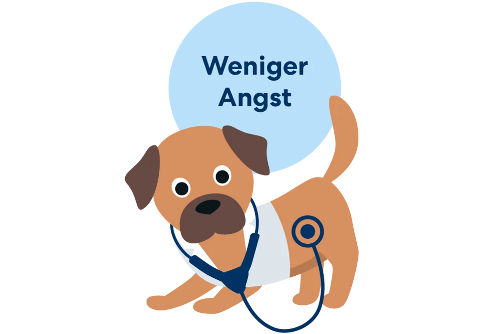 Weniger Angst beim Tierarzt