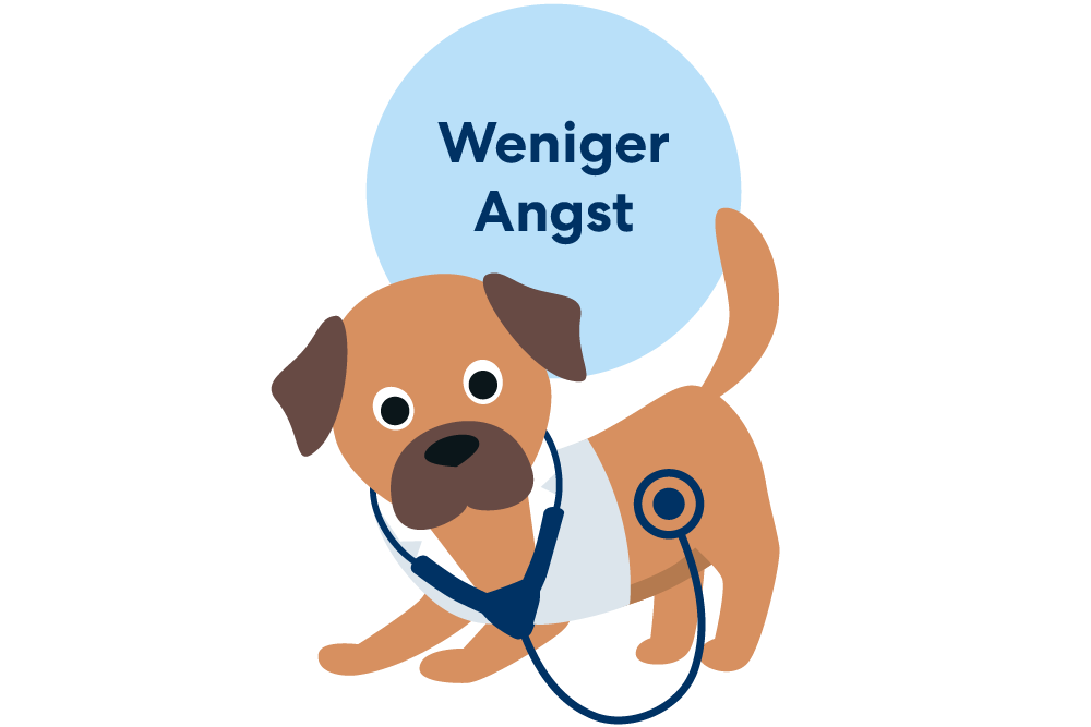 Weniger Angst beim Tierarzt