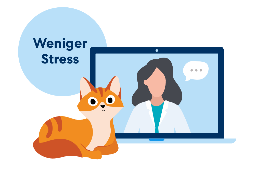 Illustration einer Katze, welche vor einem Laptop sitzt auf dem eine Tierärztin zu sehen ist. Daneben ein blauer Kreis mit dem Schriftzug "Weniger Stress"