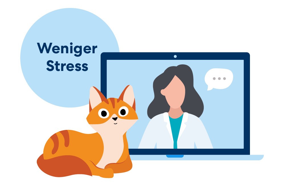 Illustration einer Katze, welche vor einem Laptop sitzt auf dem eine Tierärztin zu sehen ist. Daneben ein blauer Kreis mit dem Schriftzug "Weniger Stress"