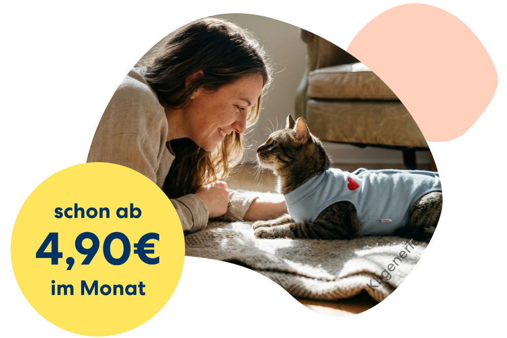 Eine Person gibt einer Katze einen Kuss auf den Kopf.
