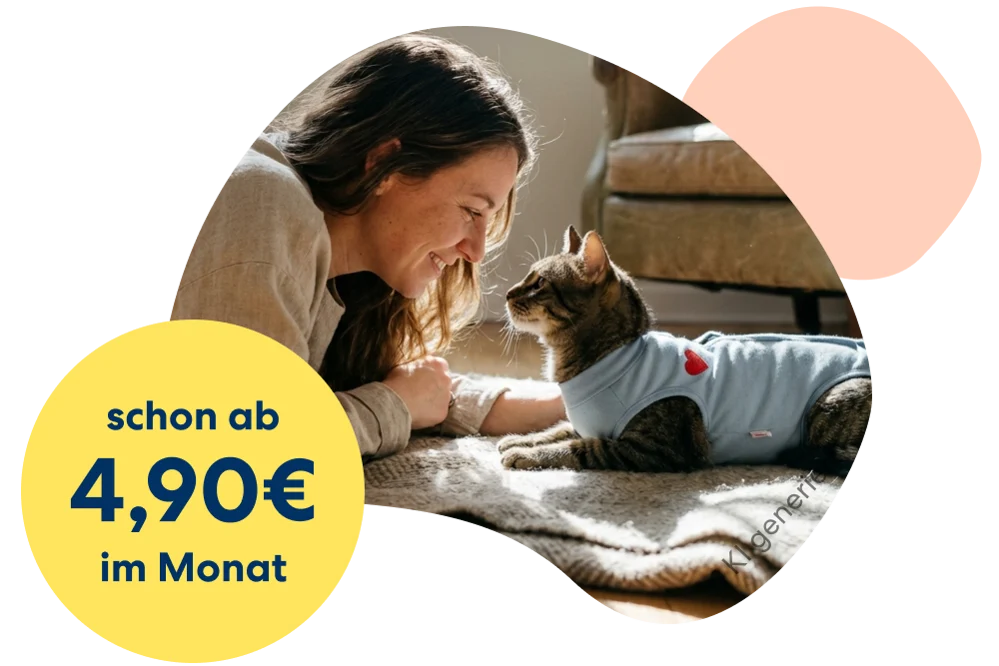 Eine Person gibt einer Katze einen Kuss auf den Kopf.
