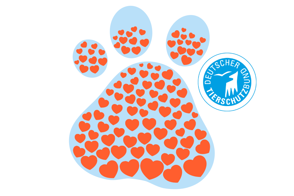 DA Direkt Tierkrankenversicherung - Pfote